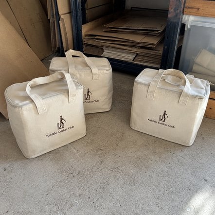 Custom printed insulated bags in bulk
